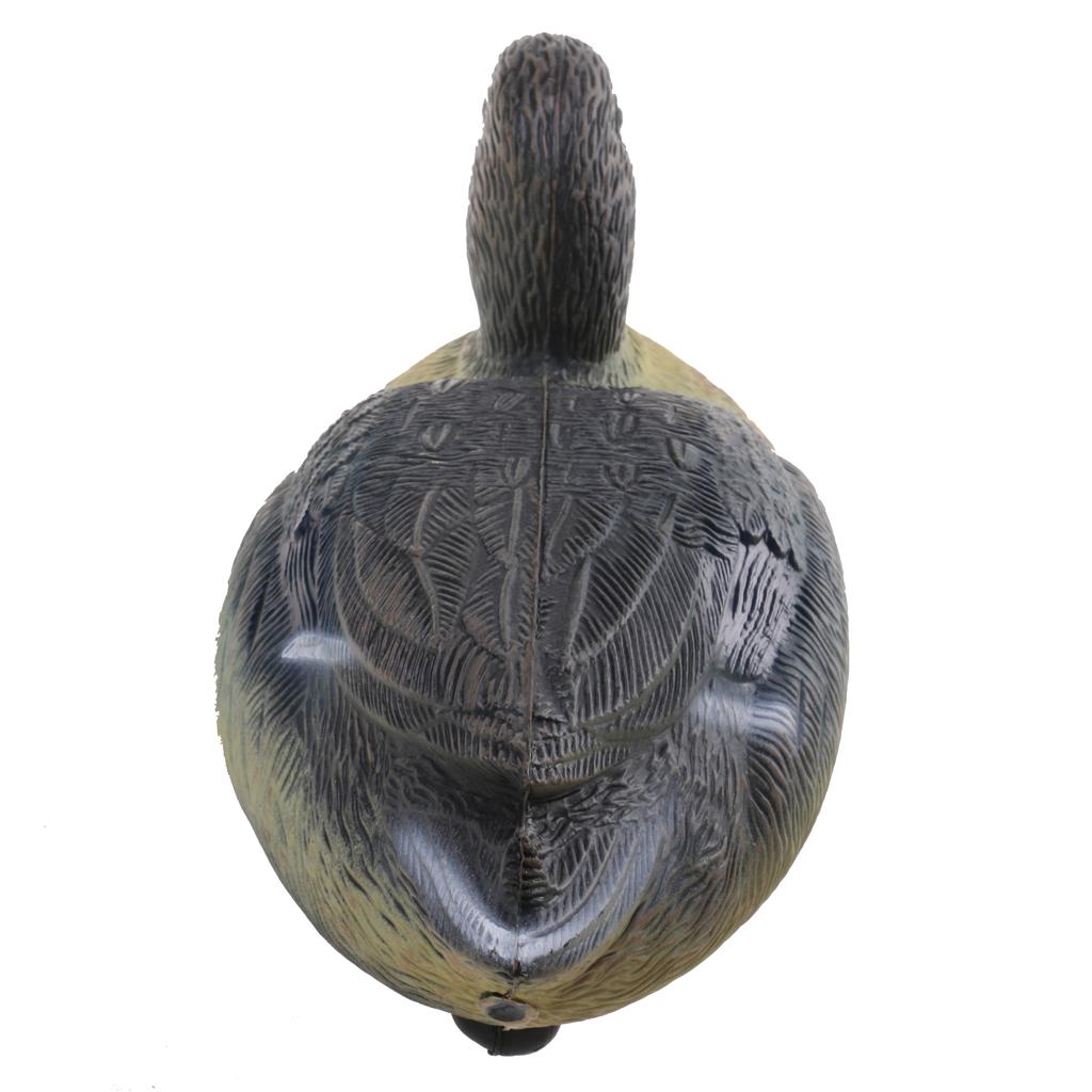 Durable Plastic Duck Decoy Hun - Decoy Duck Plastic recension och pris