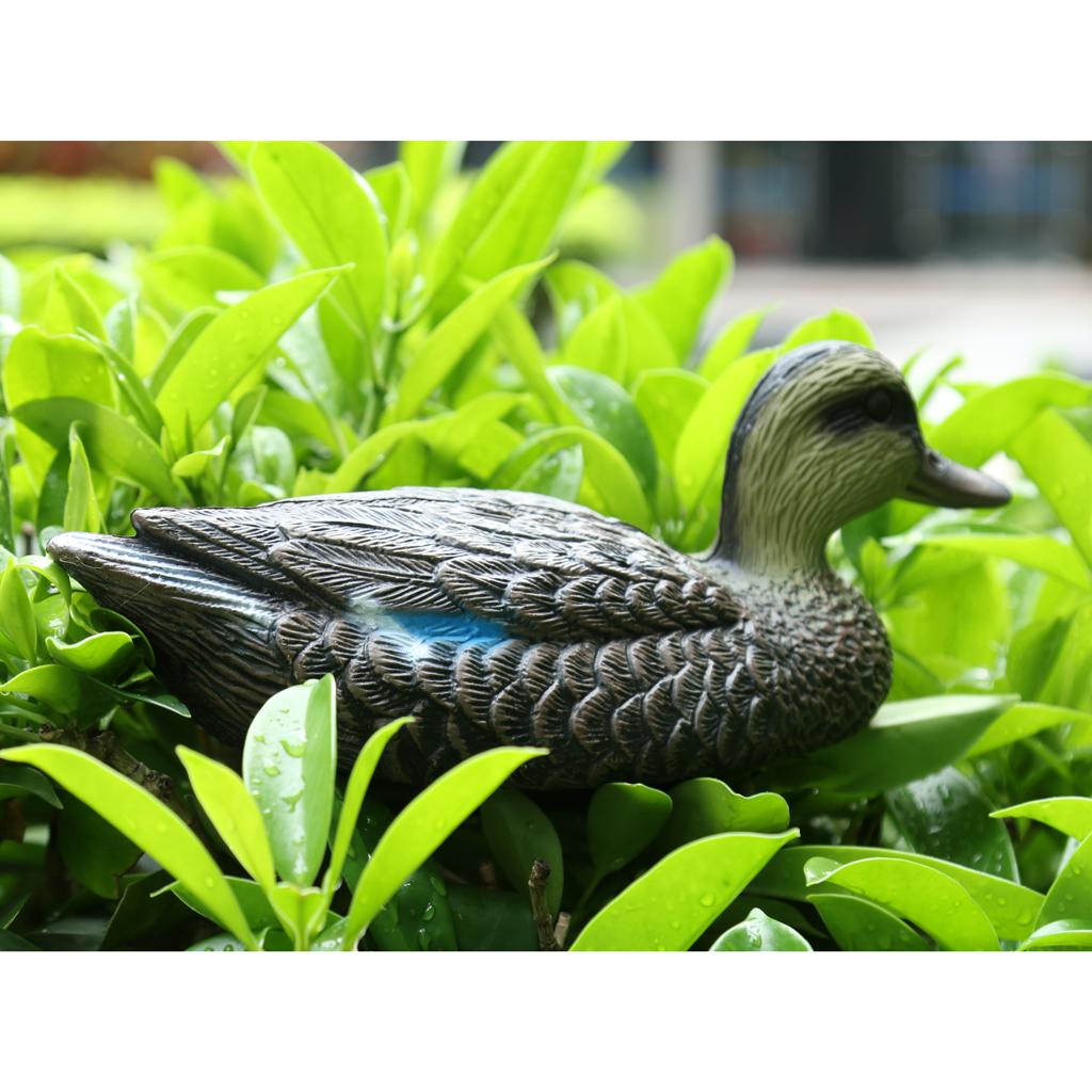 Mandarin Duck Ornaments Realis - Decoy Duck Plastic recension och pris
