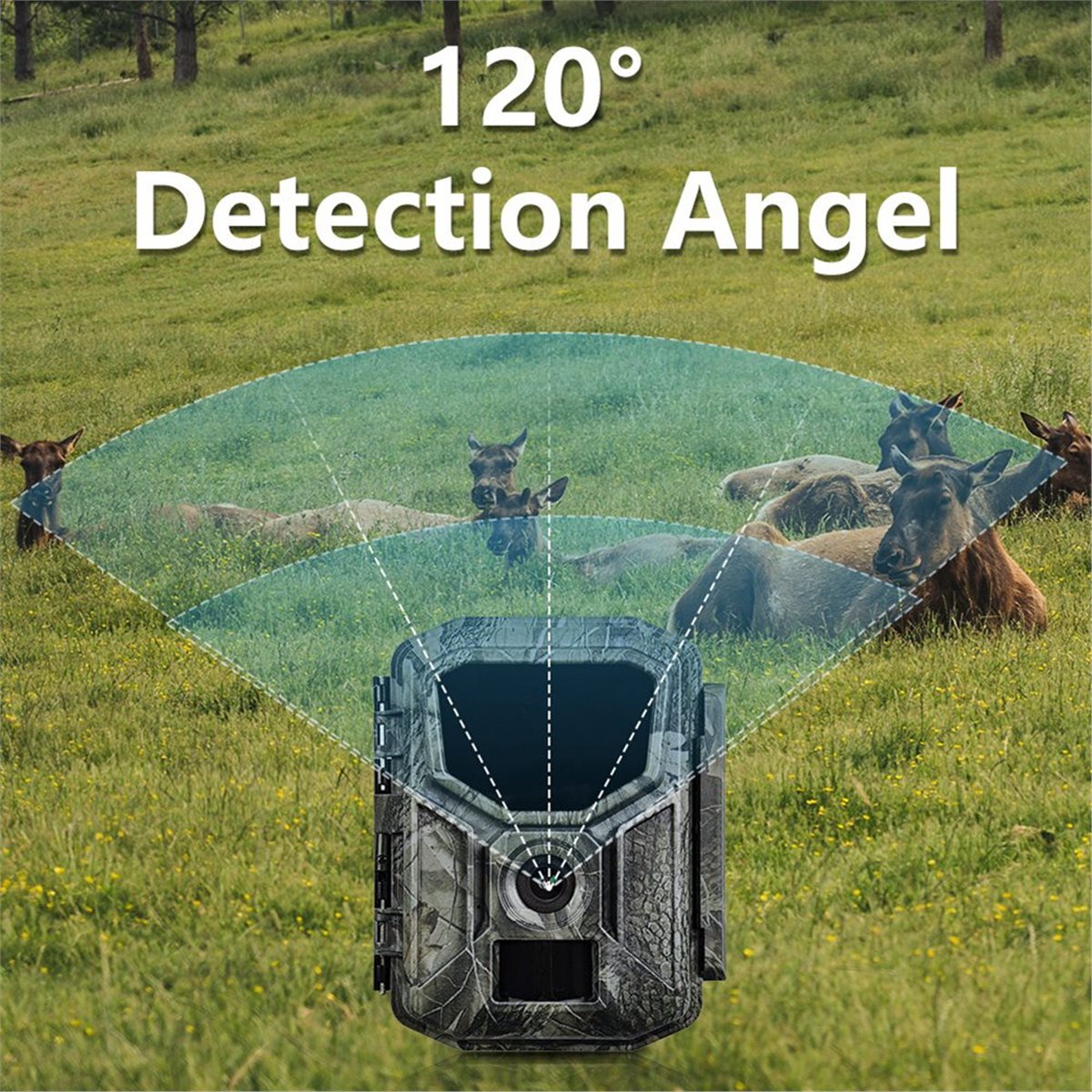 fine 8K Hunting Camera HD Wild - Hunting Outdoor Rug recension och pris