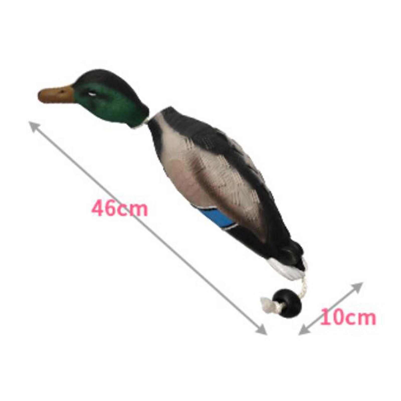 Mallard Duck Decoy Simulation  - Decoy Duck Plastic recension och pris