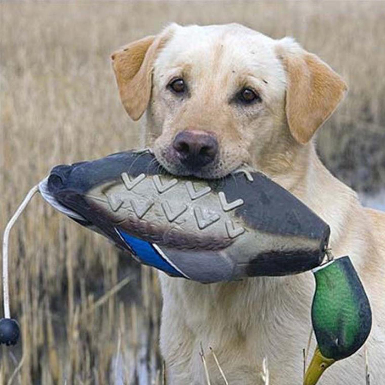 Mallard Duck Decoy Simulation  - Decoy Duck Plastic recension och pris