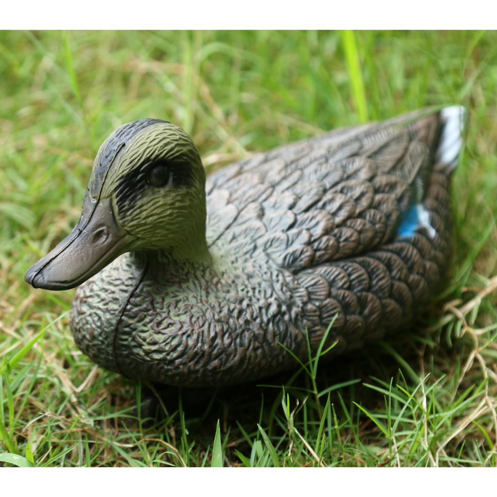 Lifesize Plastic Mandarin Duck - Decoy Duck Plastic recension och pris