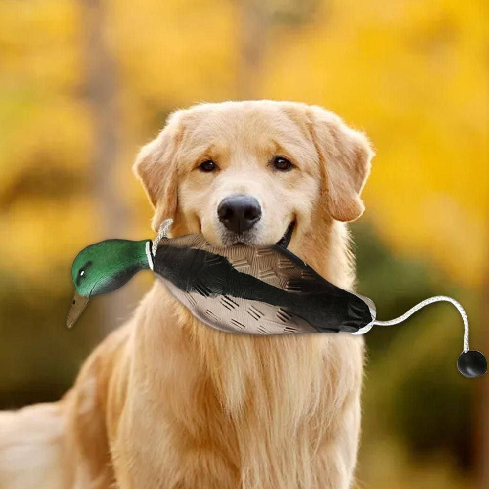 Mallard Duck Decoy Dog Trainin - Decoy Duck Plastic recension och pris