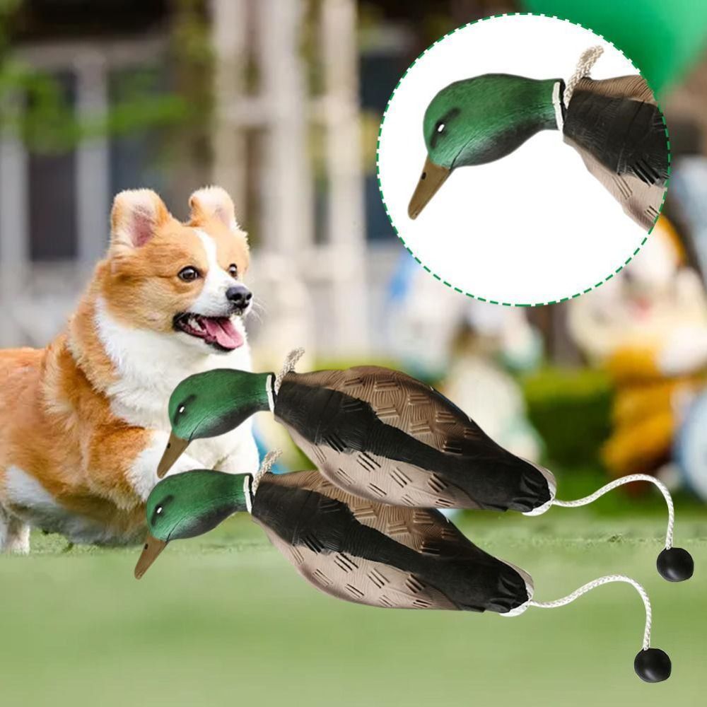 Mallard Duck Decoy Dog Trainin - Decoy Duck Plastic recension och pris