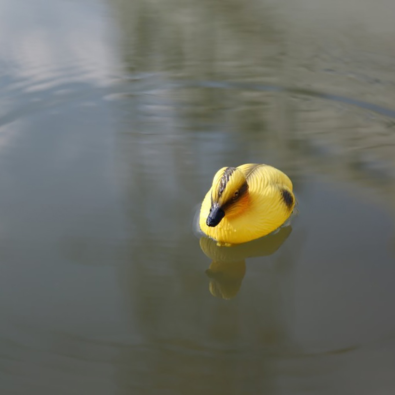 Floating Duck Ducklings Pond S - Decoy Duck Plastic recension och pris